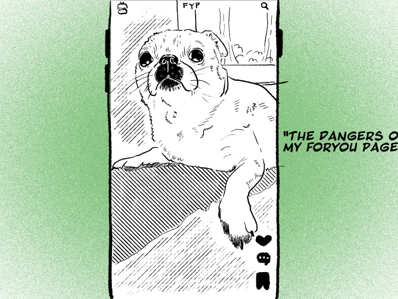 Illustration of a tiktok video feauring a pug.