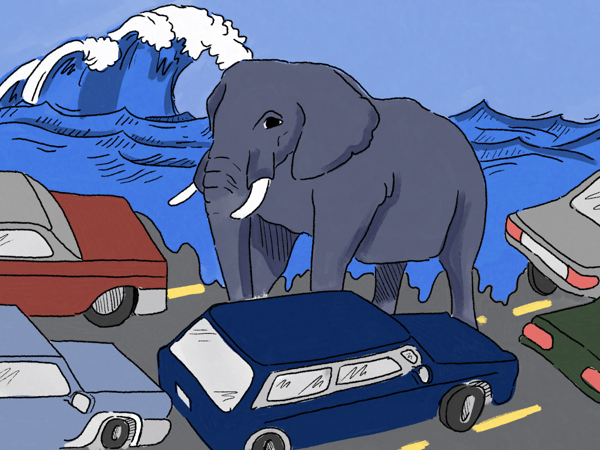 An elephant stuck in the middle of traffic