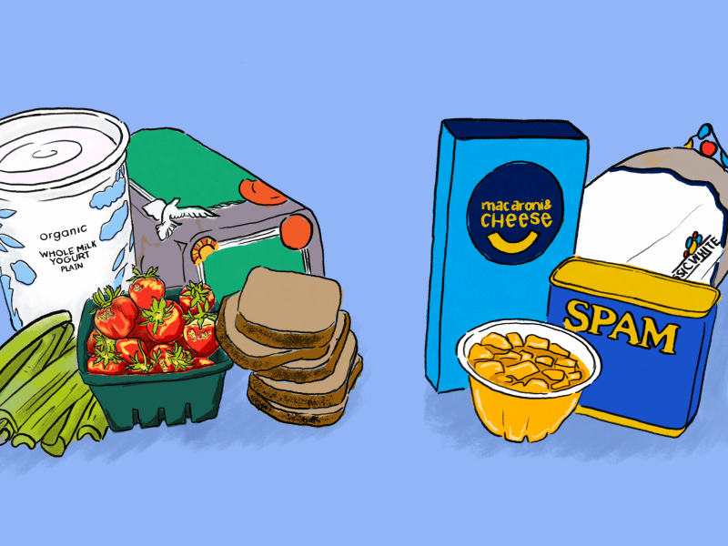 Digital illustration of organic yogurt, celery, tomatoes, and whole wheat bread on the left along with a fruit cup, instant macaroni, spa, and white bread on the right.